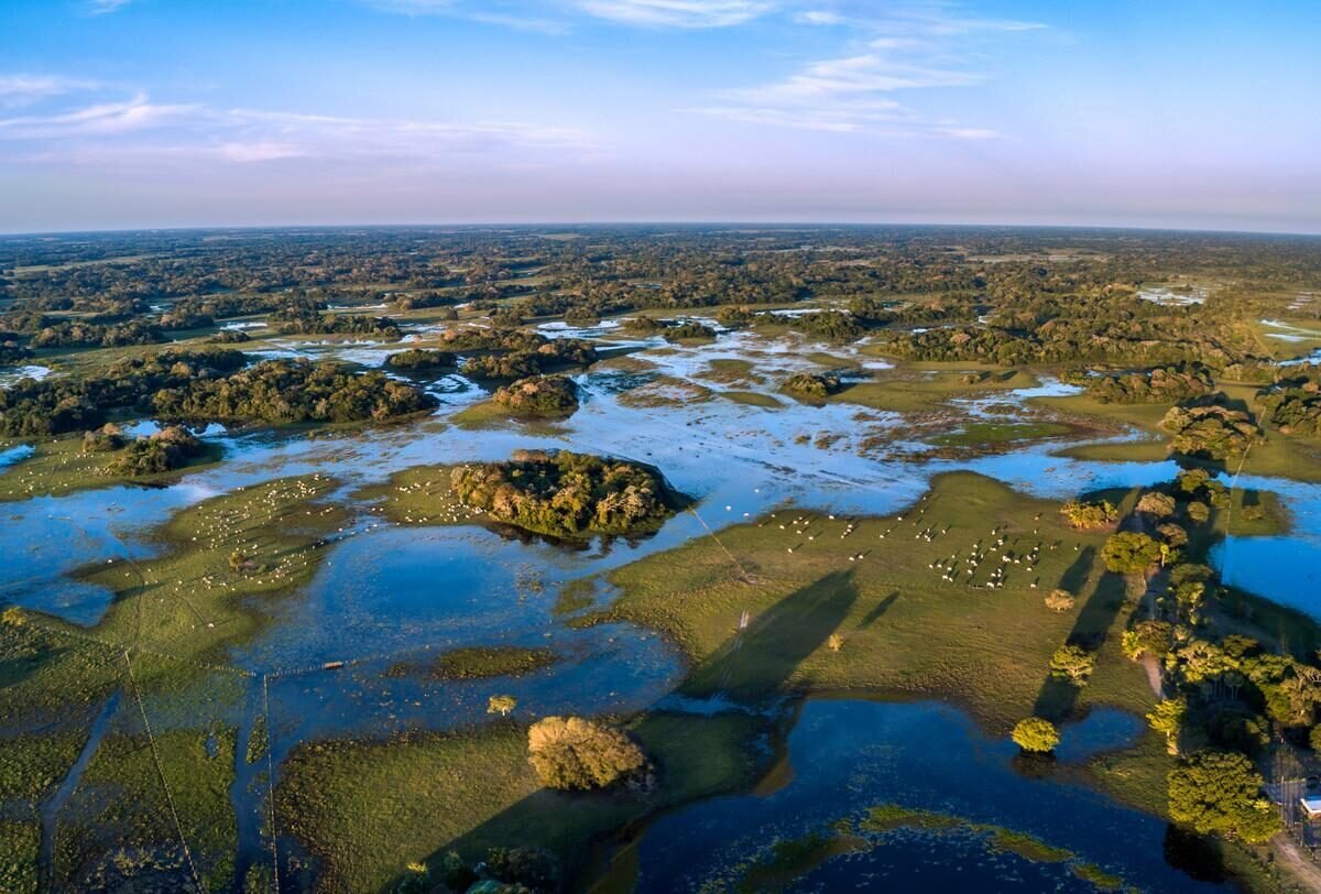 Pantanal