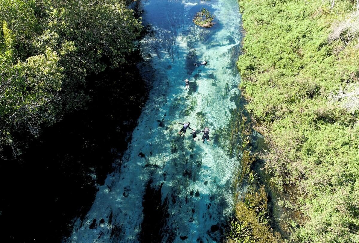Bonito — foto 15