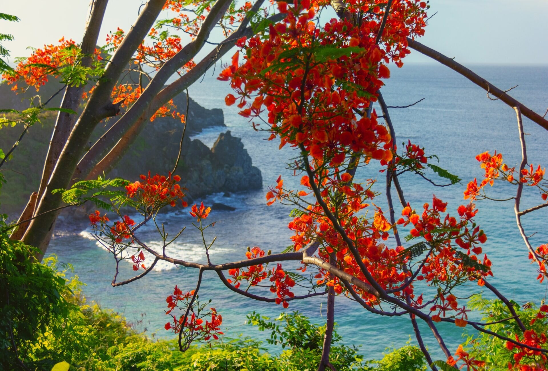 Fernando de Noronha
