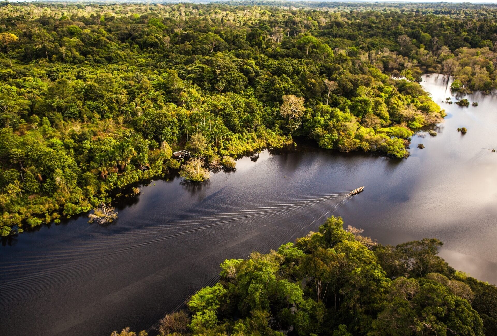 Manaus