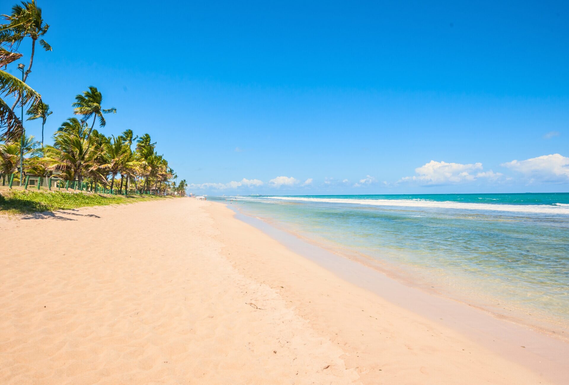 Praia do Forte — foto 12