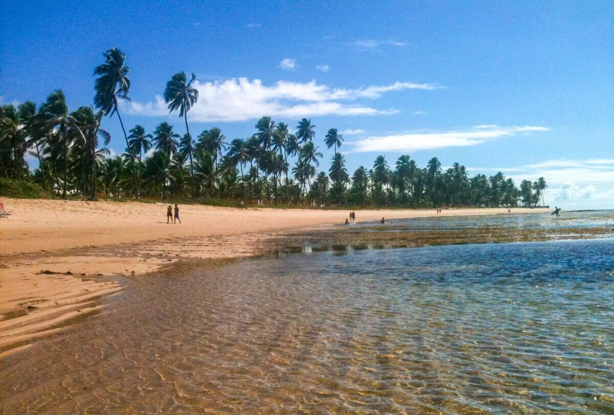 Praia do Forte — curiosidade 3