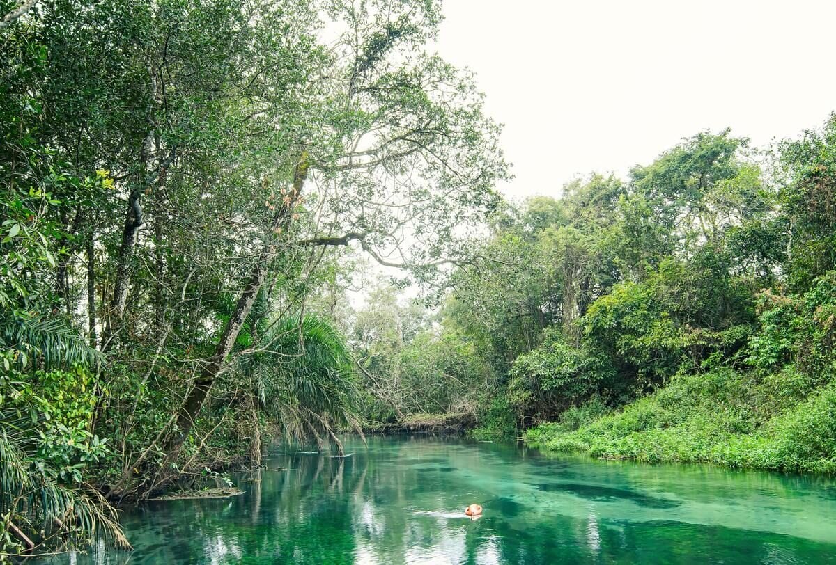 Bonito — foto 4