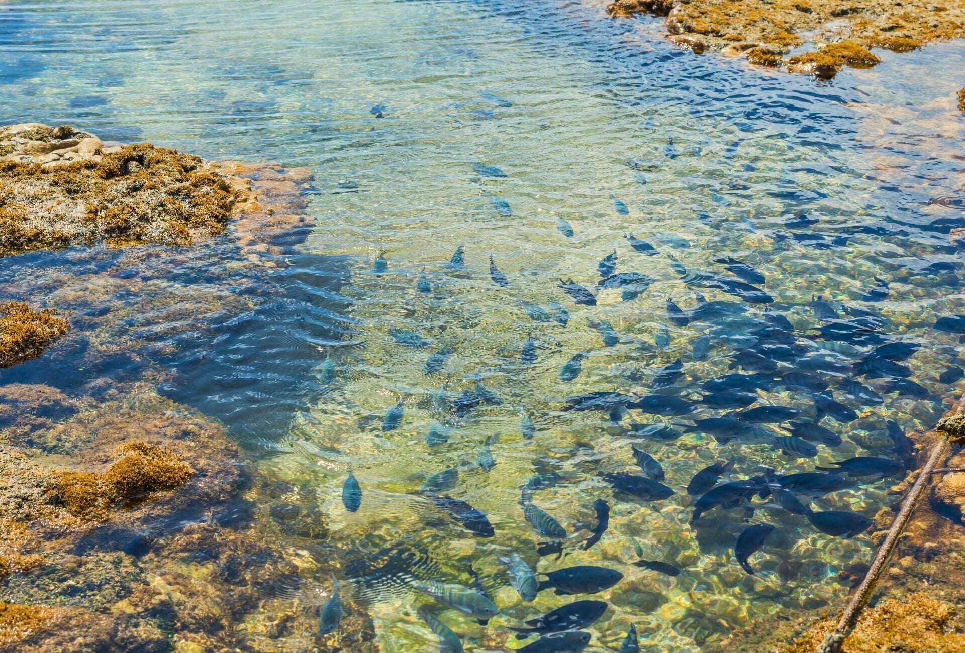 Praia do Forte — foto 10