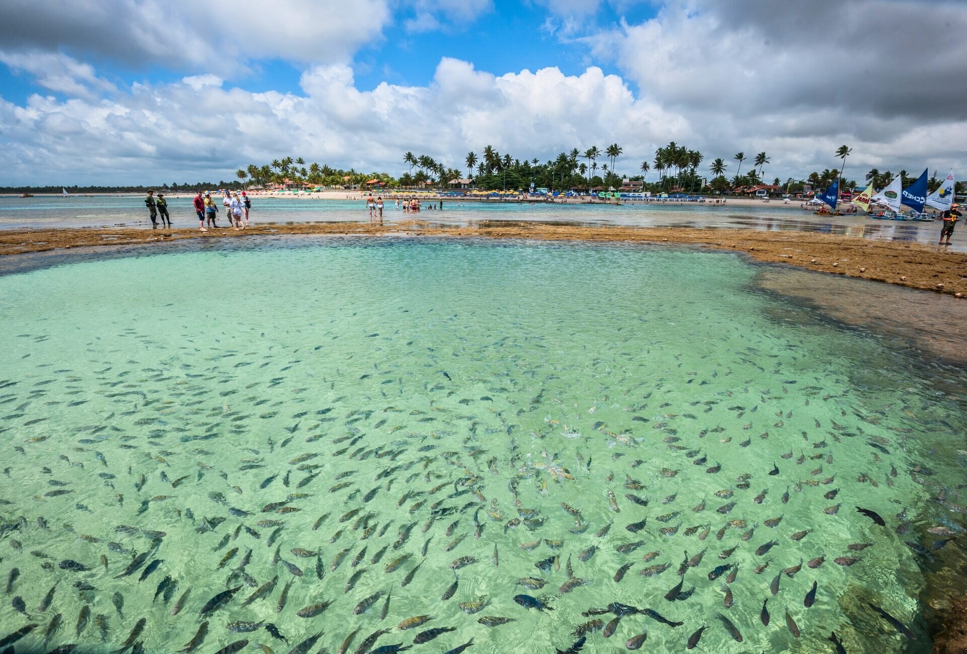 Porto de Galinhas — curiosidade 3