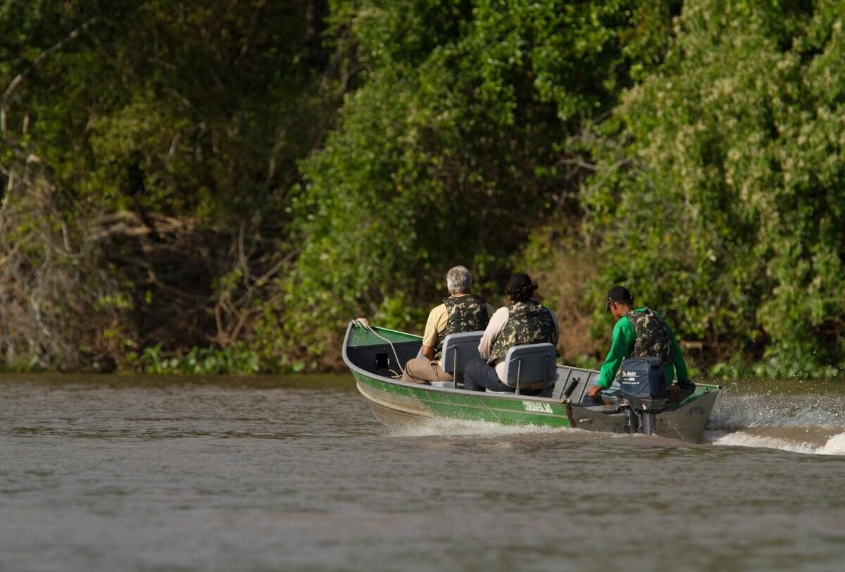 Pantanal — foto 9