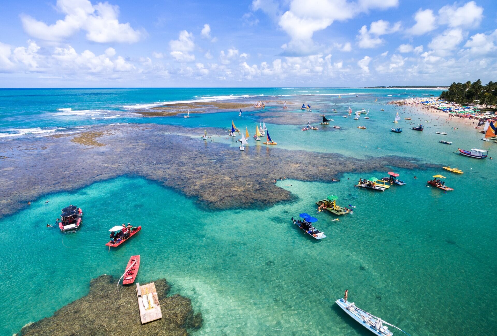 Praia do Forte — foto 5