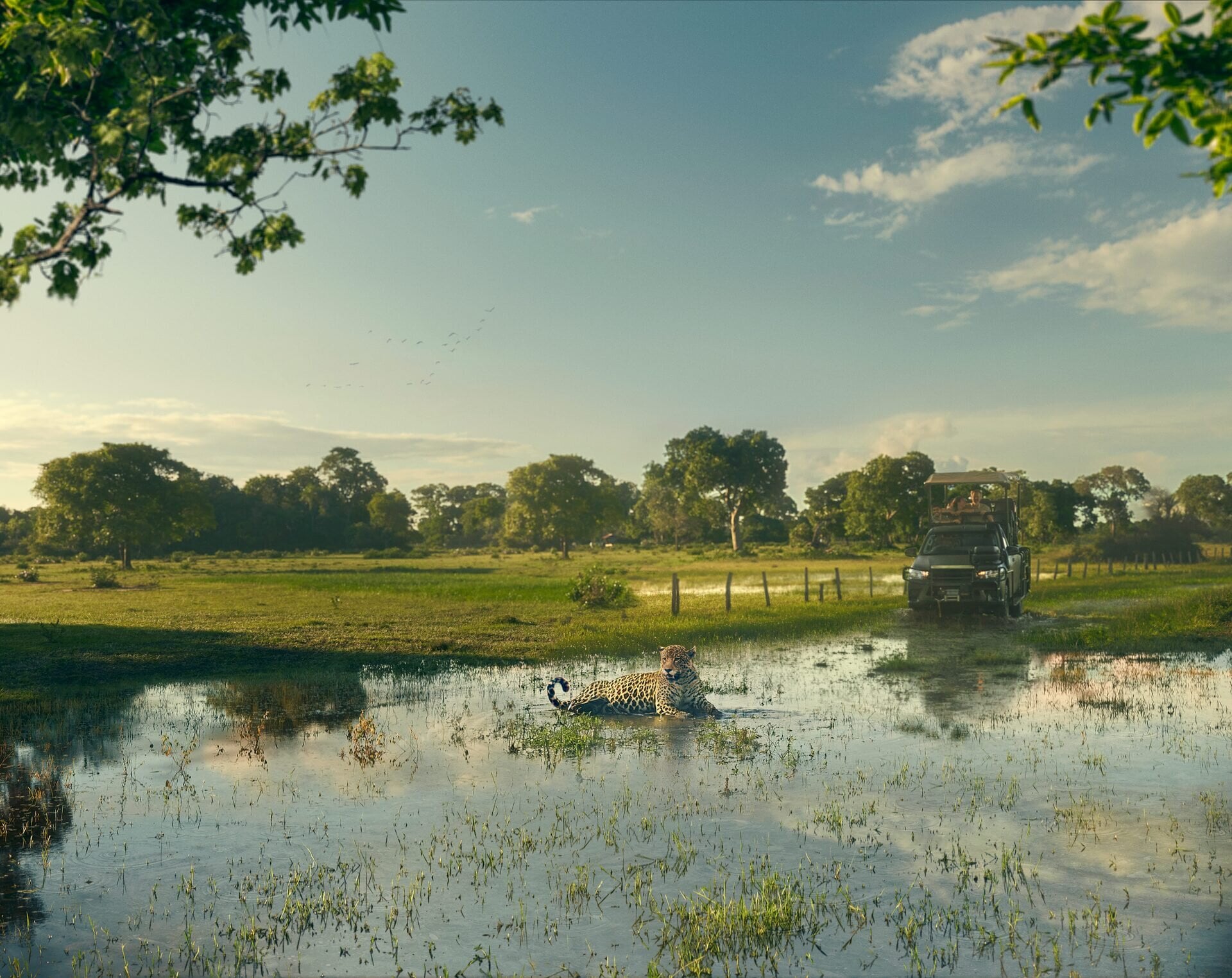 Pantanal