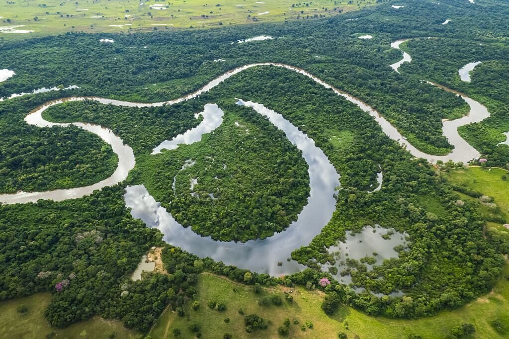Pantanal — foto 27
