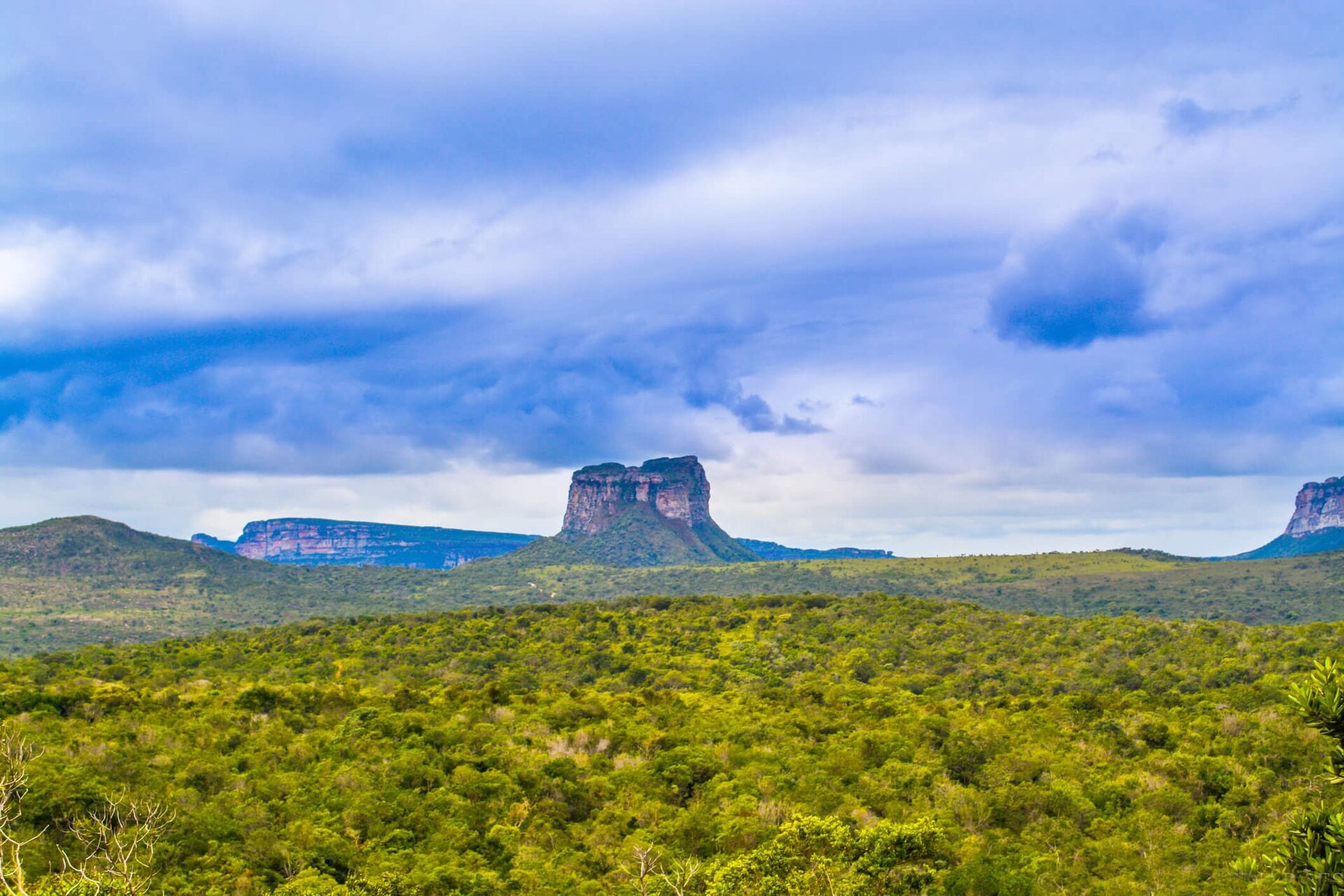 Chapada Diamantina — foto 16
