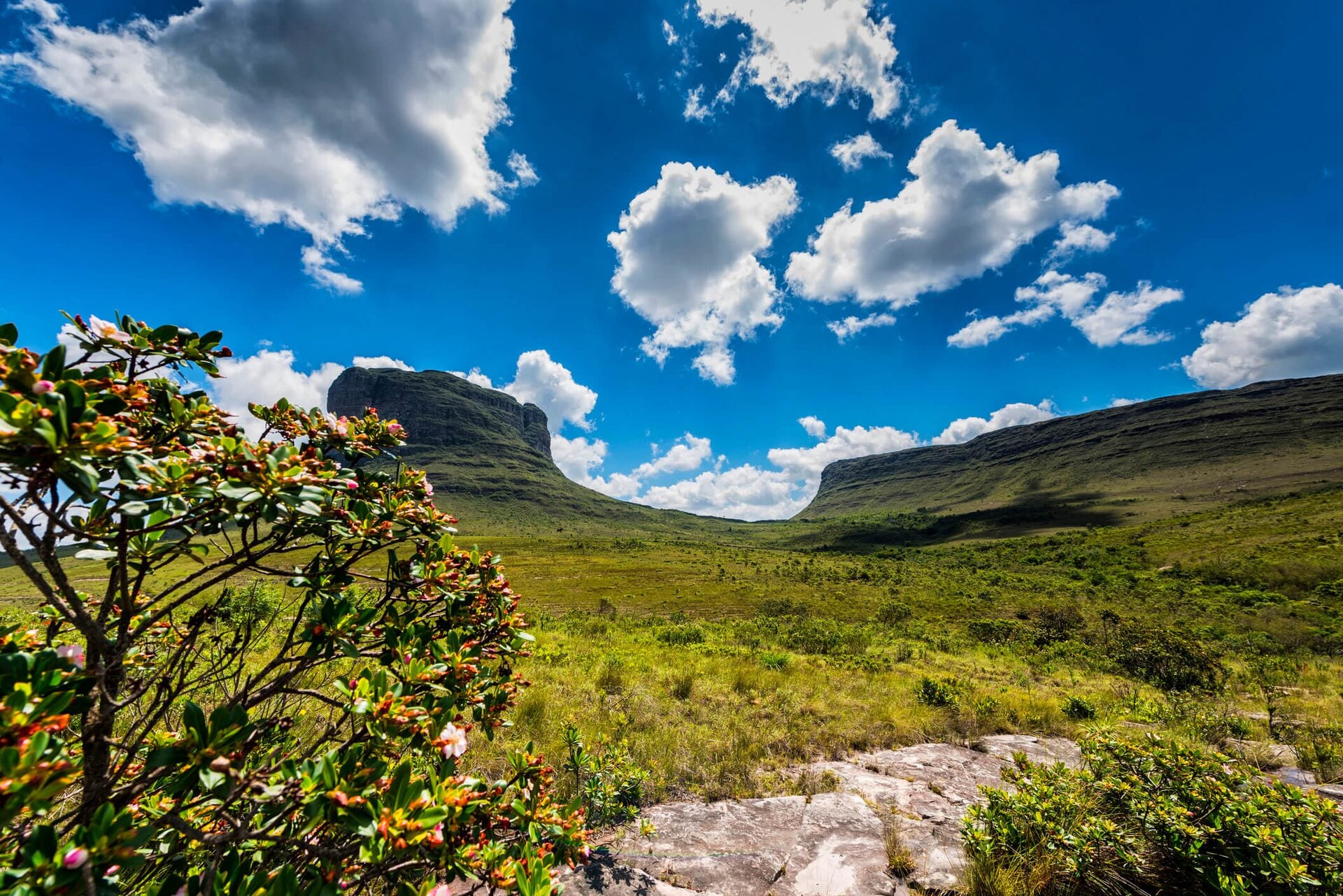 Chapada Diamantina — foto 19