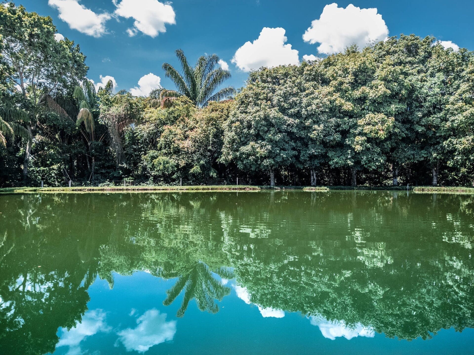 Cuiabá — curiosidade 3