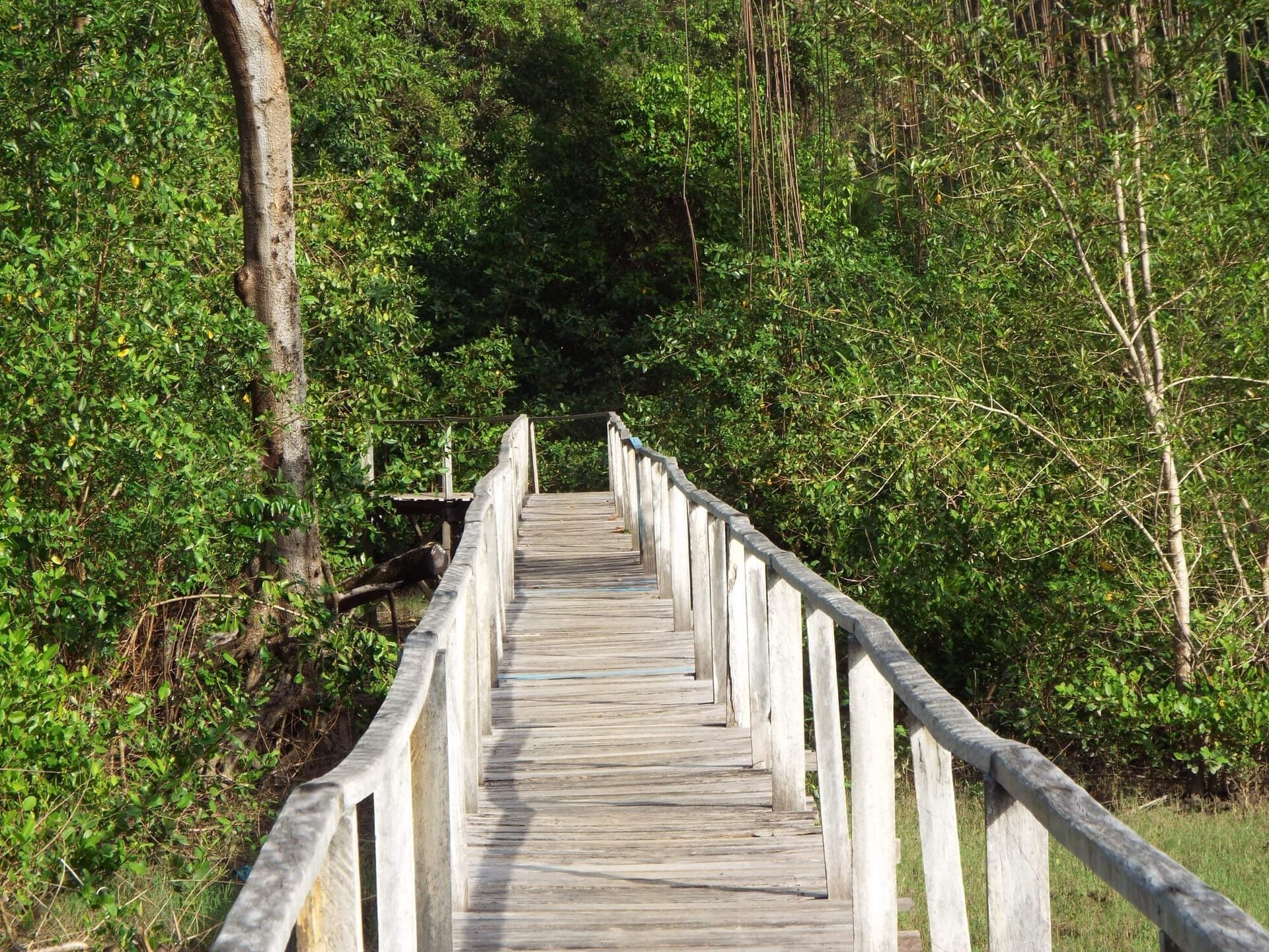 Ilha de Marajó — foto 7