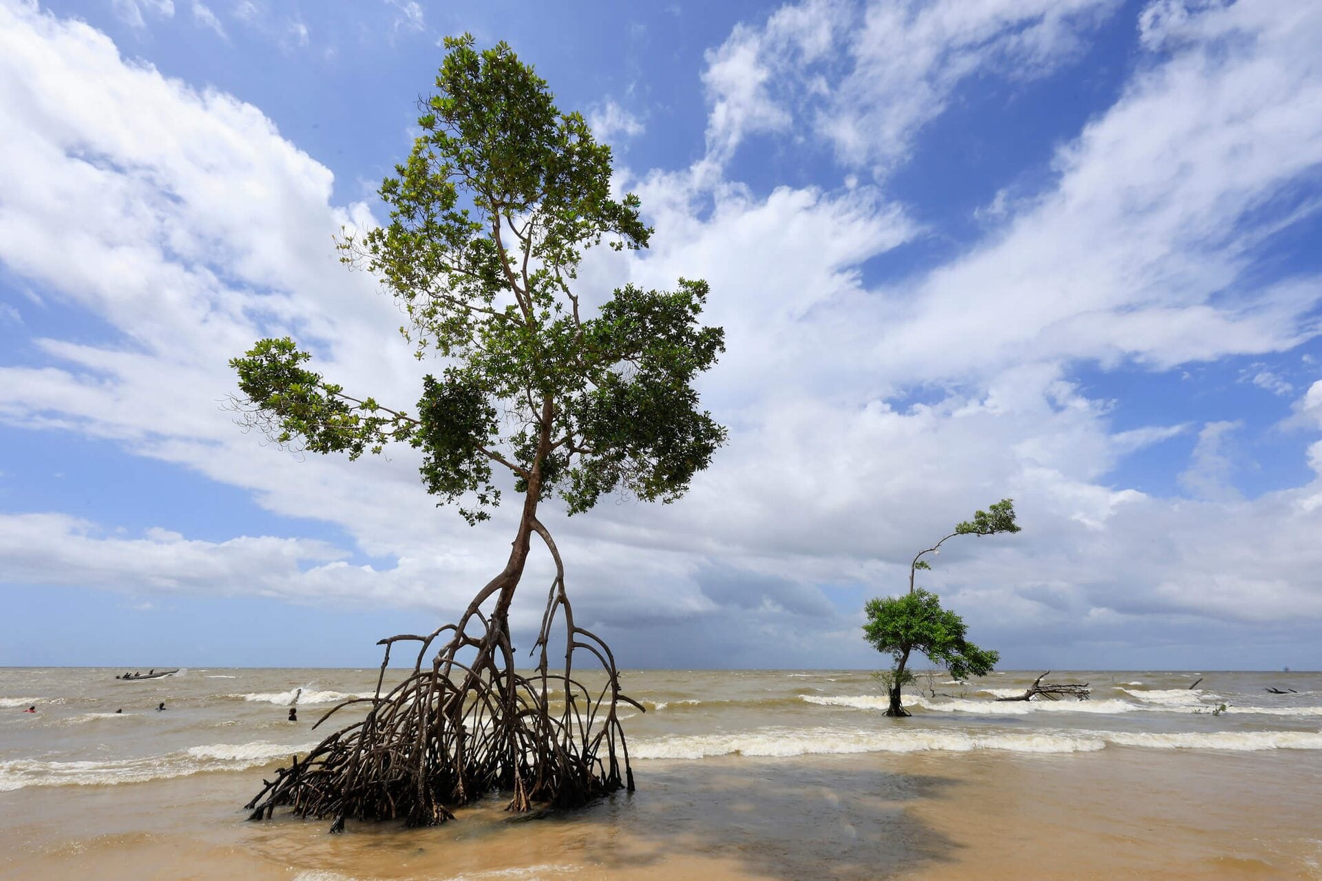 Ilha de Marajó — foto 8
