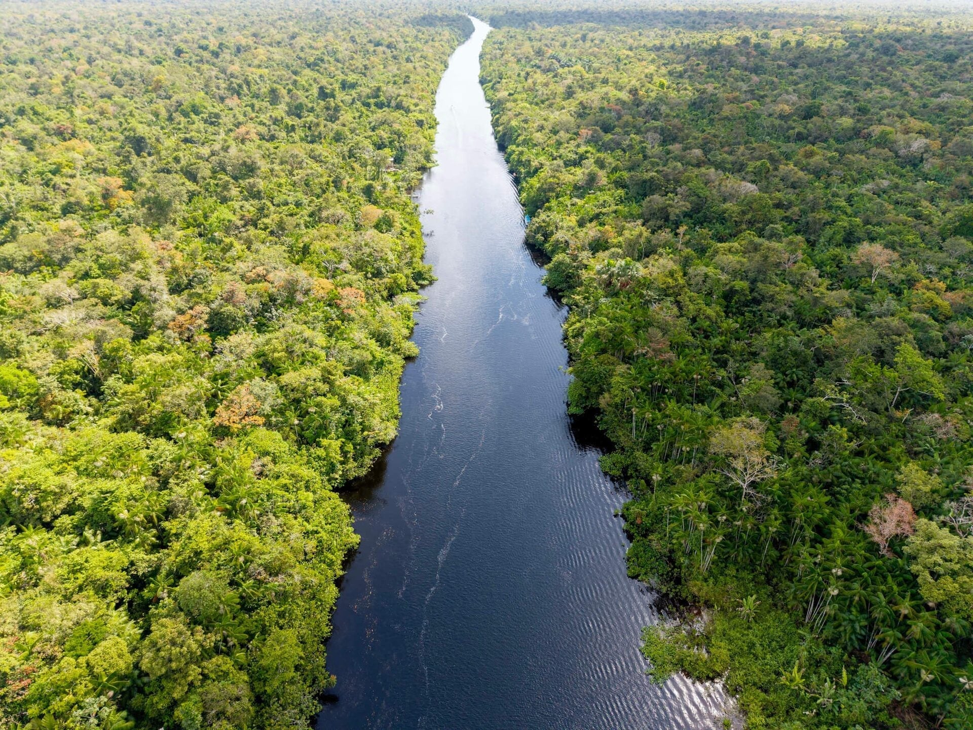 Ilha de Marajó — foto 21