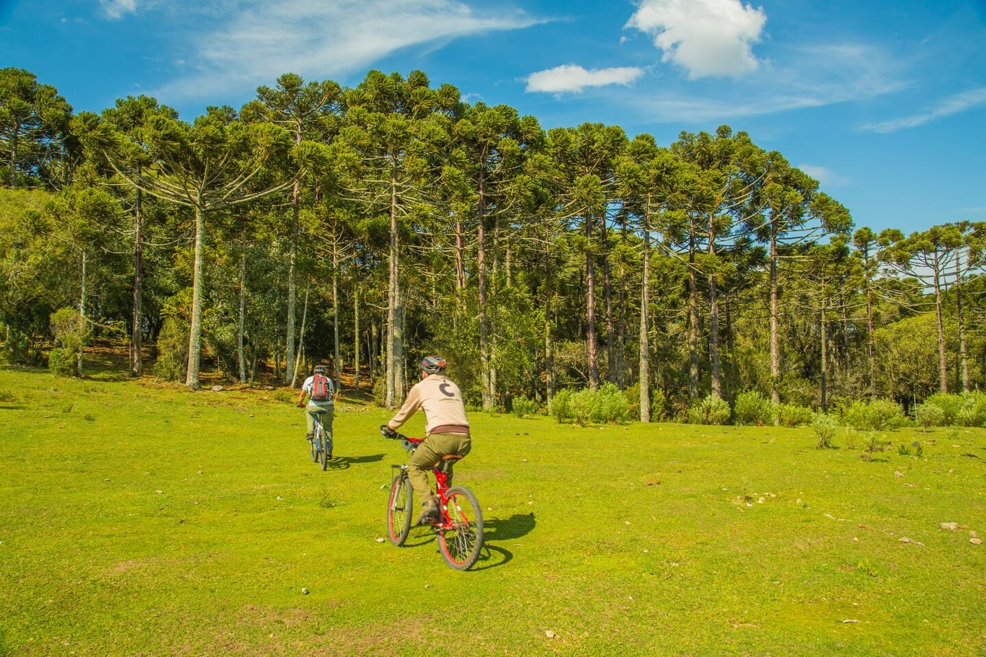 Cambará do Sul — foto 10