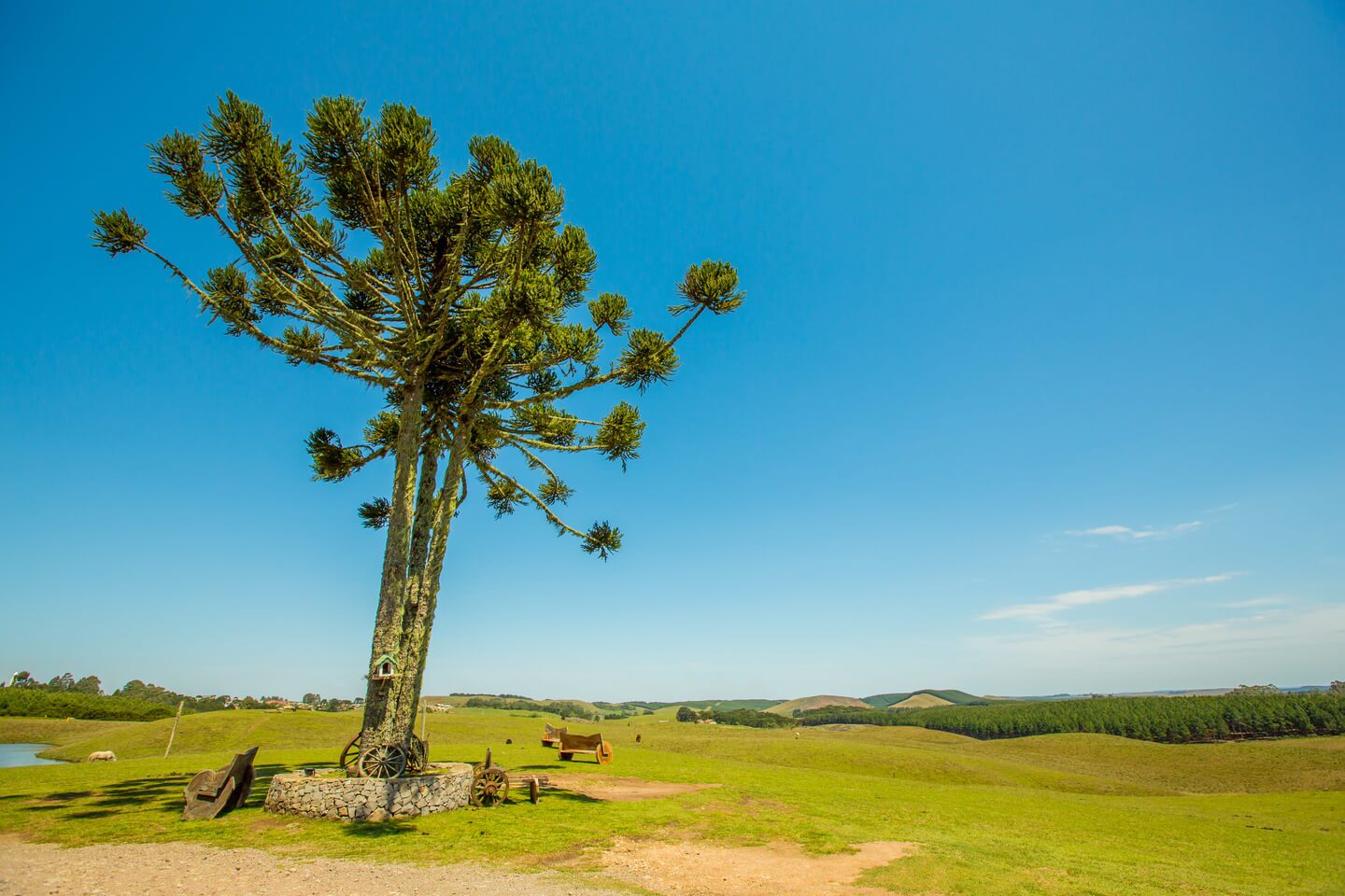 Cambará do Sul — foto 11