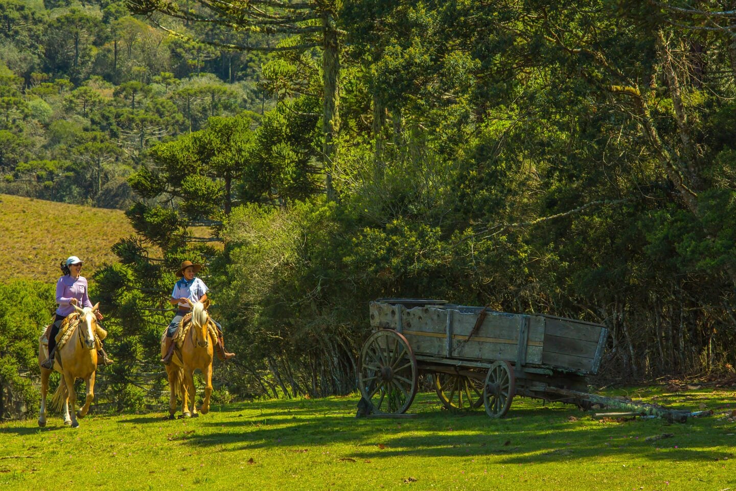Cambará do Sul — foto 4