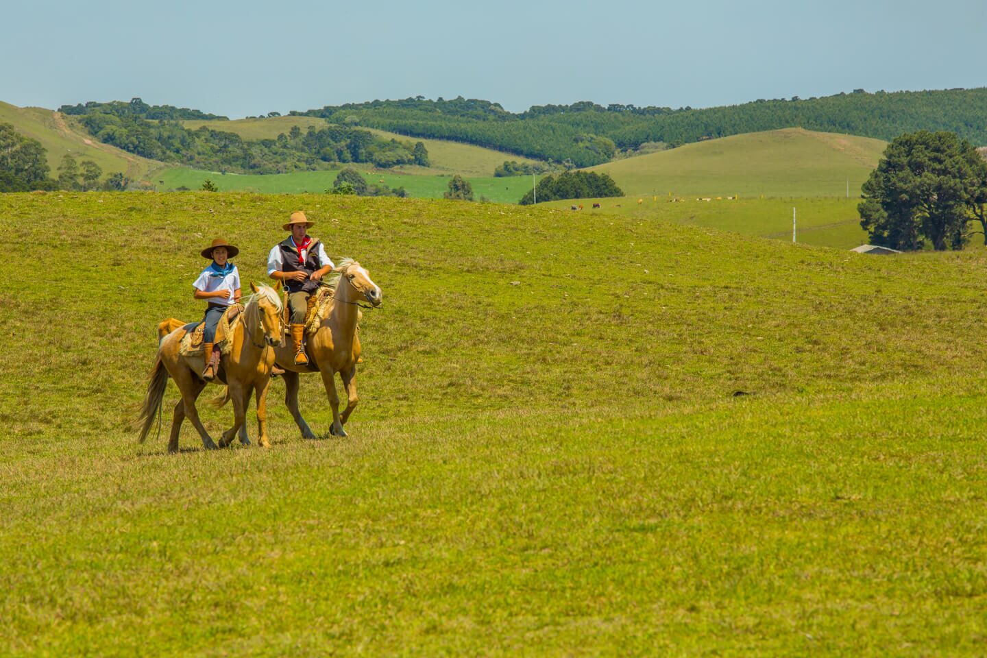 Cambará do Sul — foto 12