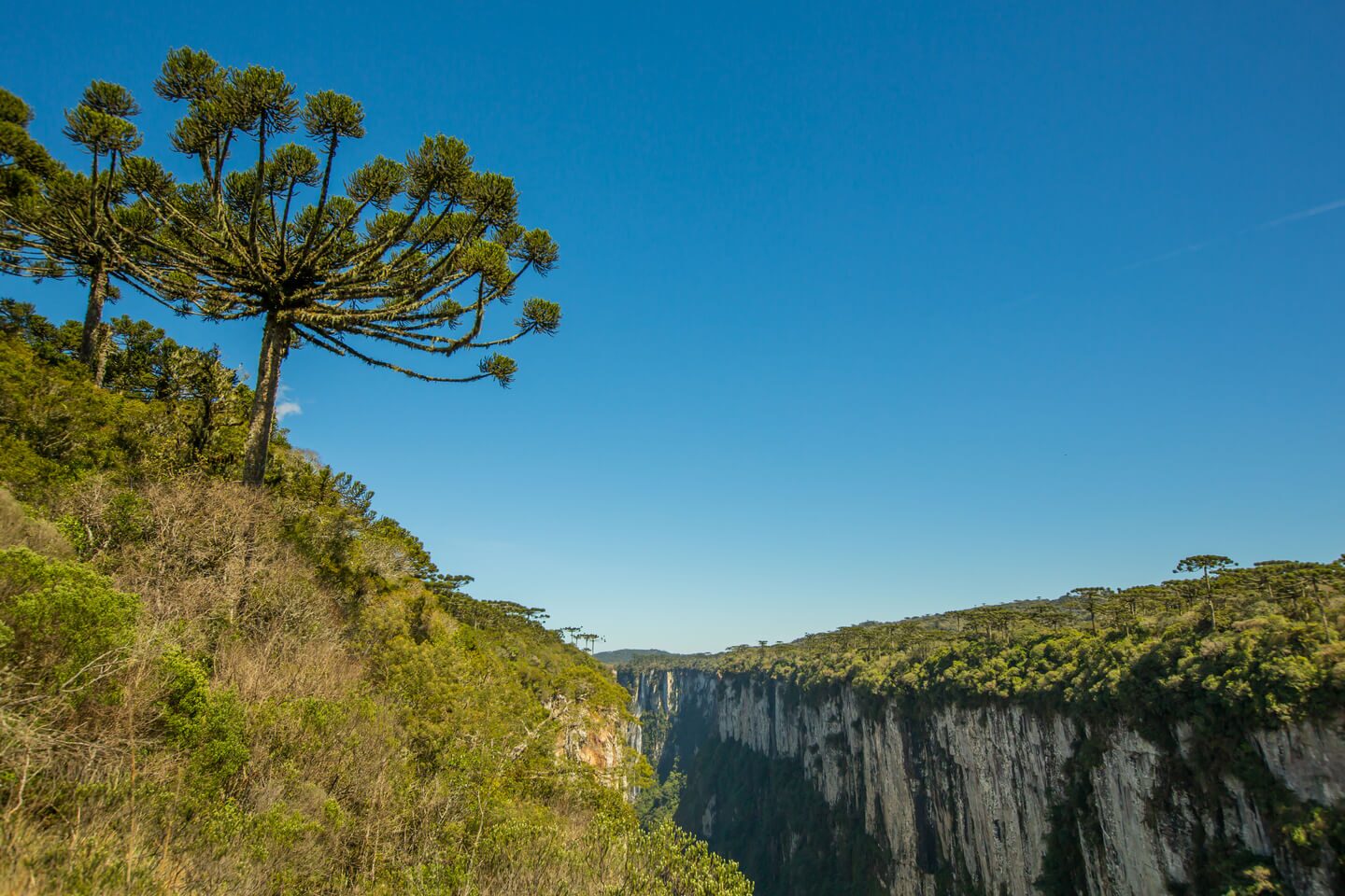 Cambará do Sul — foto 17