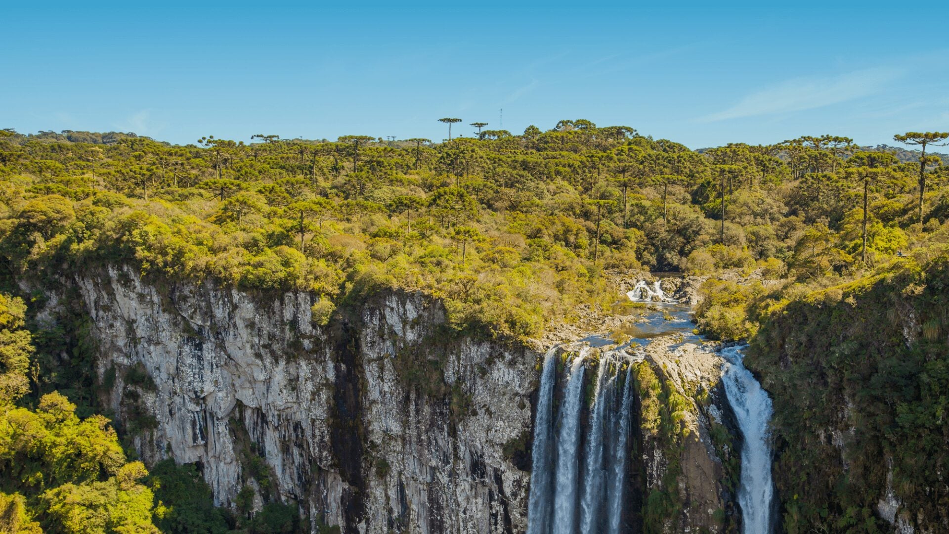 Cambará do Sul
