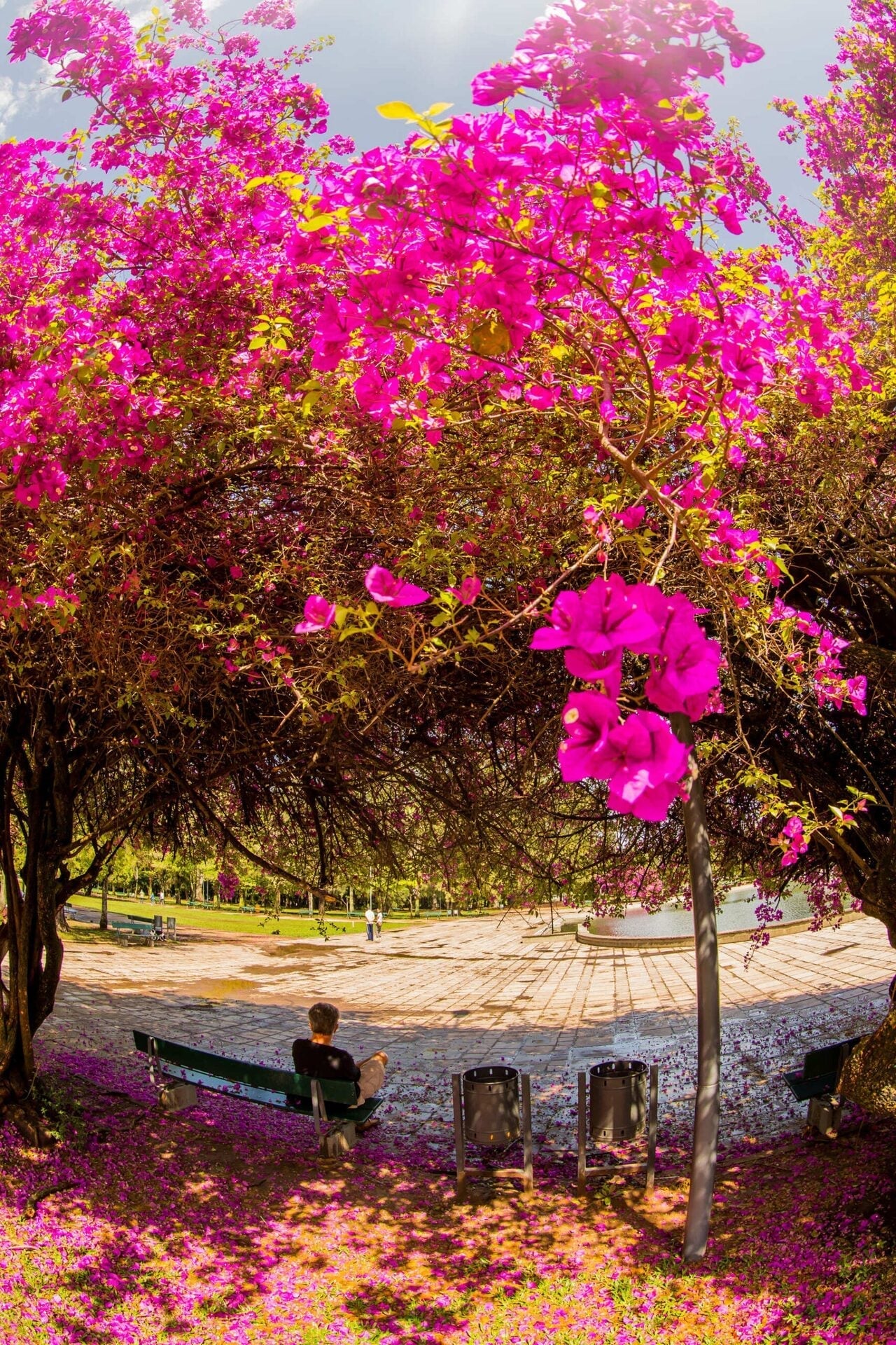 Porto Alegre — foto 4